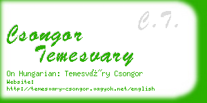 csongor temesvary business card